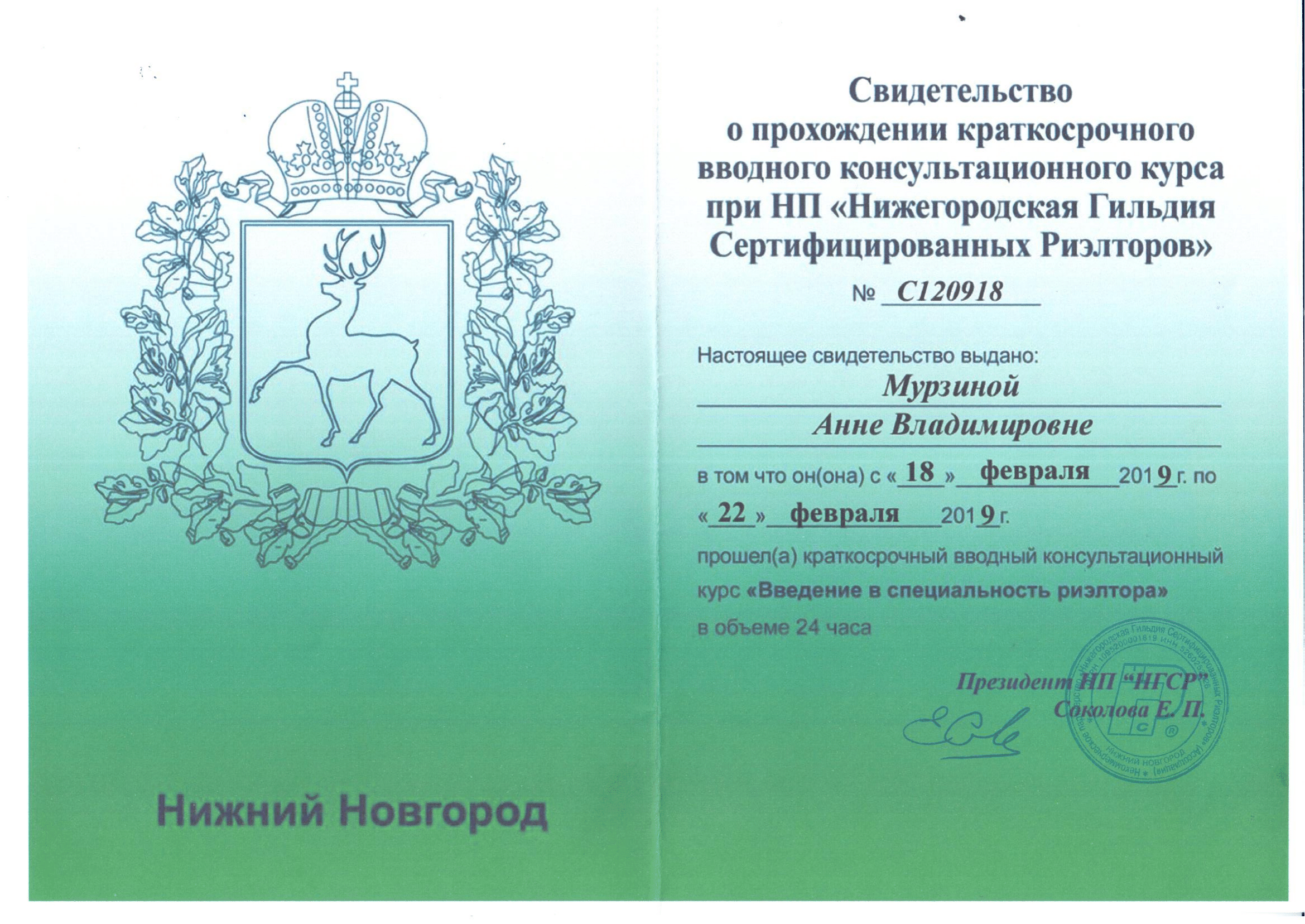 murzina 1